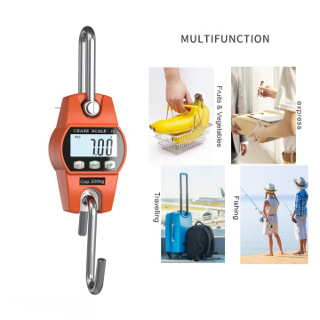 SF-916 Digital Mini portátil Industrial Crane Scale 300kg